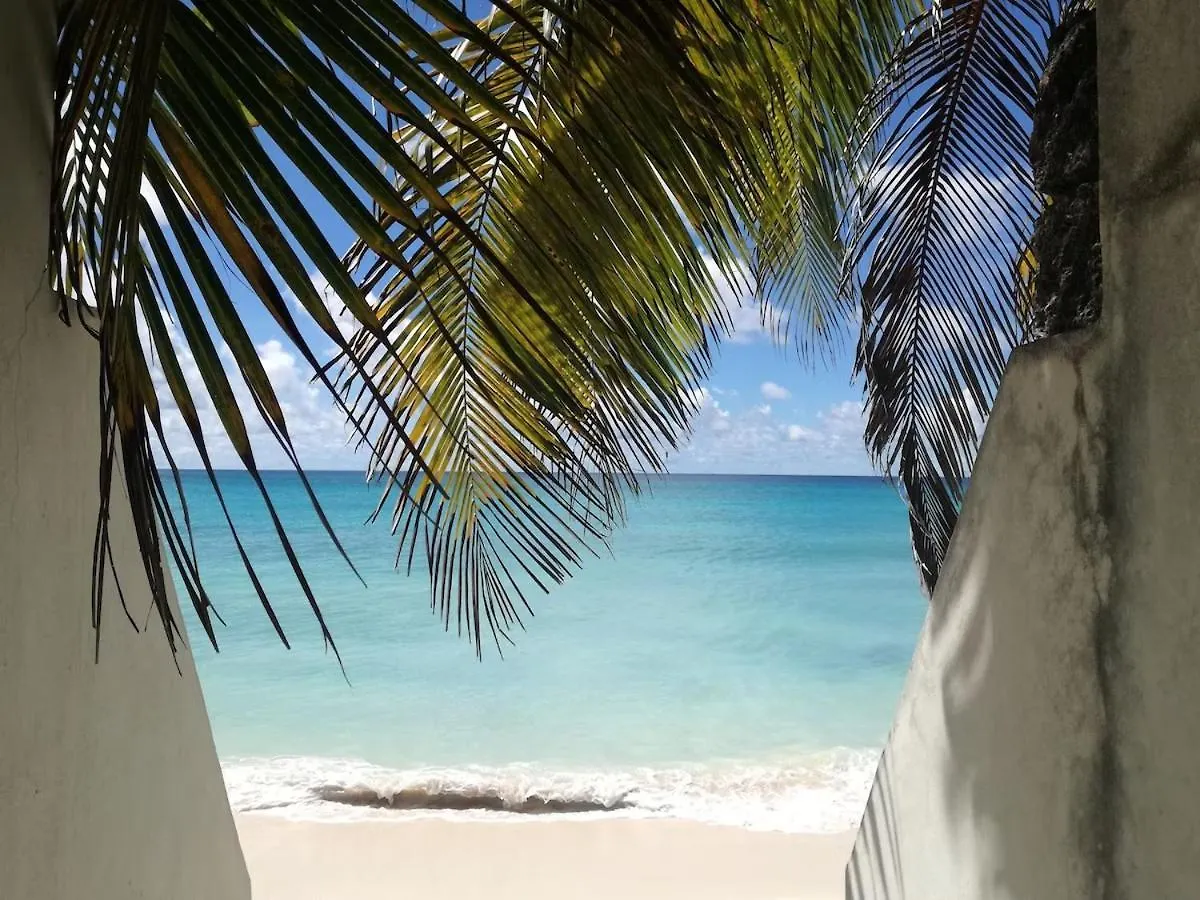 Апартаменты Couples Hideaway, King Bed- 5 Mins To Beach & Oistins- Golden Teal Крайст-Черч